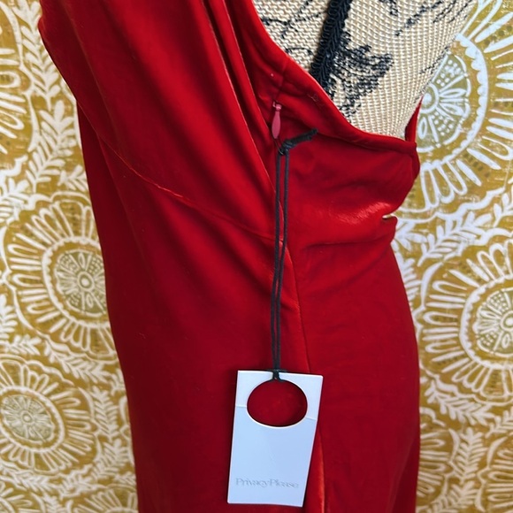 NWT Privacy Please Hampshire Velvet Ruched Sleeveless Midi Dress in Red size M - Picture 10 of 13